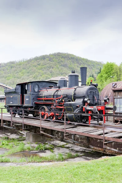 Steam Lokomotywa Resavica Serbia — Zdjęcie stockowe