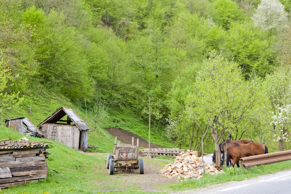 Landschap van Bosnië en Herzegovina — Stockfoto