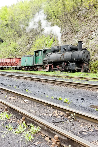 Treno merci a vapore, punto di consegna a Oskova, Bosnia ed Herceg — Foto Stock