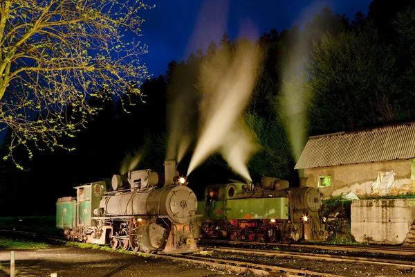 Dampflokomotiven Der Nacht Oskova Bosnien Und Herzegowina — Stockfoto