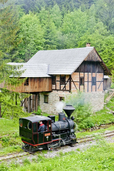 Stoom locomotieven en oude Sägmühle, museum van Slowaakse dorp, vyc — Stockfoto