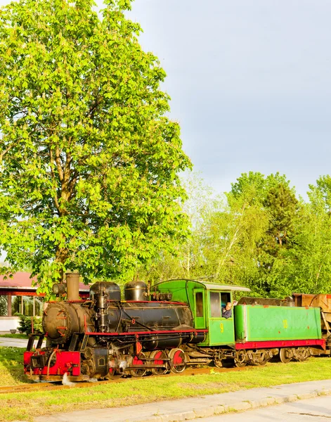 Steam locomotive Stock Image