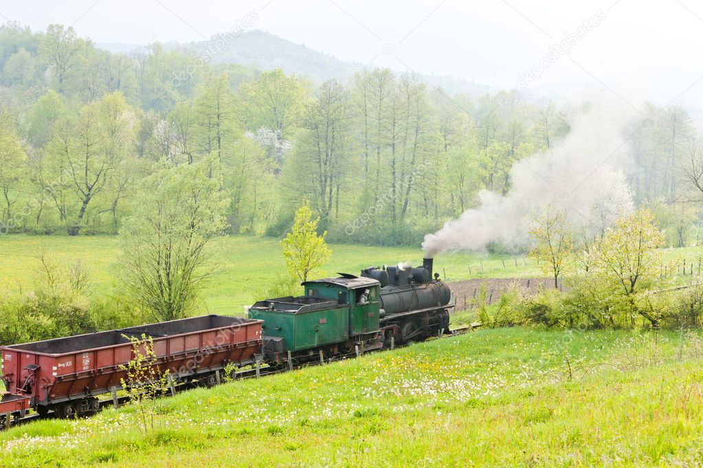 Narrow gauge railway, Banovici, Bosnia and Hercegovina