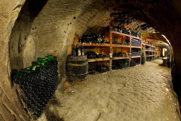 Wine cellar, Bily sklep rodiny Adamkovy, Chvalovice, Czech Repub — Stock Photo, Image