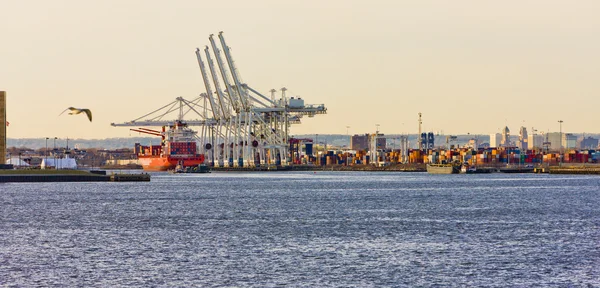 Port New Yorki Öbölbe Amerikai Egyesült Államok — Stock Fotó