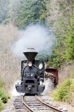 Buhar treni, Ciernohronska Demiryolu, Slovakya