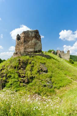 Ruins of Lichnice Castle clipart