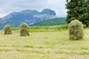 belianske tatras, Slovakya