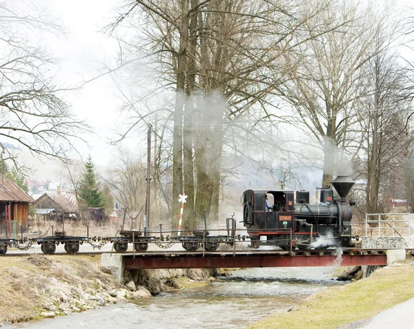 蒸気機関車 シエルノロンスカ鉄道 スロバキア — ストック写真