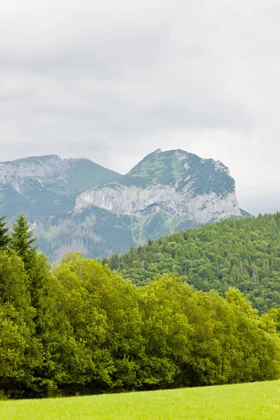 Belianske Tatry Belianske Tatra Словаччина — стокове фото