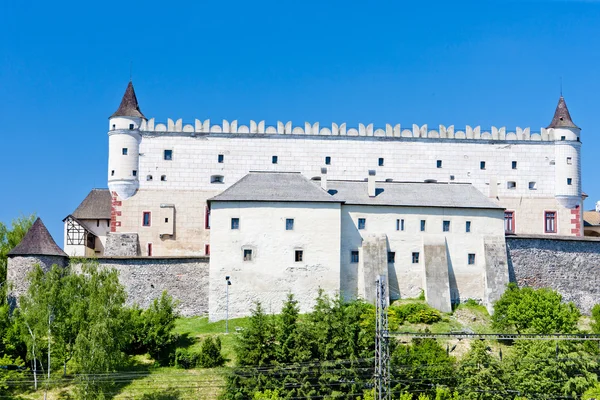 Zvolen Κάστρο Σλοβακία — Φωτογραφία Αρχείου