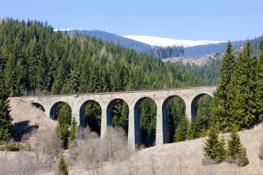 Slovakya, Telgart yakınlarındaki demiryolu viyadükü