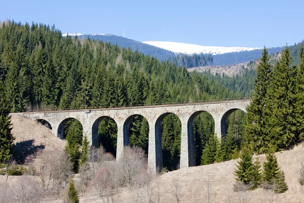Railway Viaduct Telgart Slovakia — Stock Photo, Image