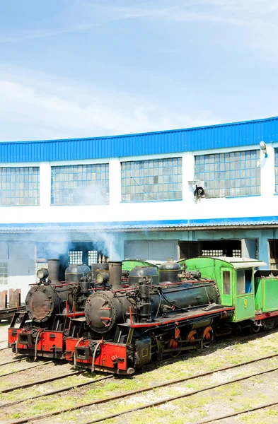 Steam Locomotives Depot Kostolac Serbia — Stock Photo, Image