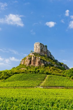 Solutre Rock with vineyards, Burgundy, France clipart