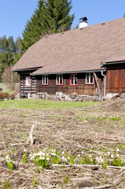 kar taneleri önünde yazlık sedlonov, orlicke mountains, Çek Cumhuriyeti