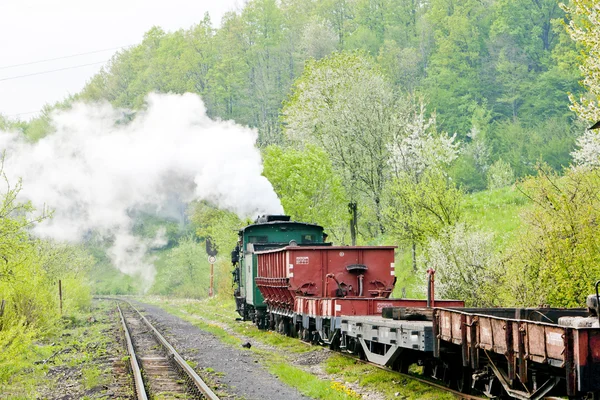 Úzkorozchodná Železnice Banovici Bosna Hercegovina — Stock fotografie