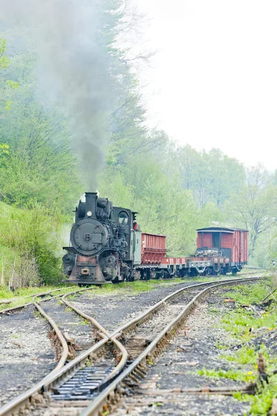 窄轨铁路 巴诺维契 波斯尼亚及赫塞哥维纳 — 图库照片