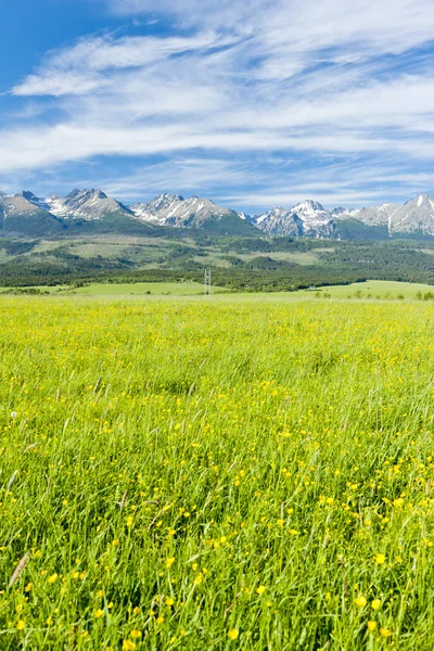 stock image Vysoke Tatry (High Tatras), Slovakia