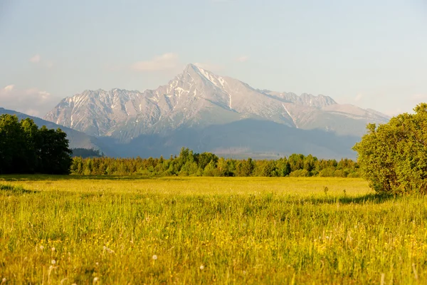 Krivan Vysoke Tatry Hautes Tatras Slovaquie — Photo
