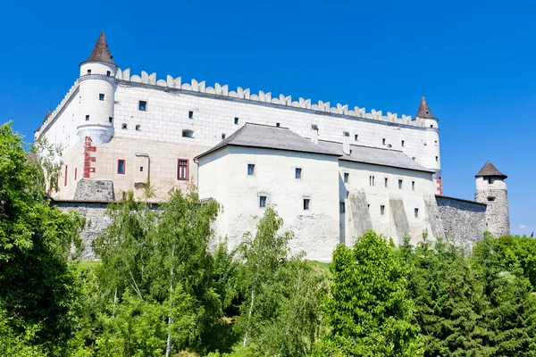 Castello di Zvolen — Foto Stock
