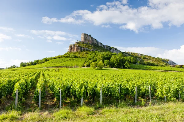 Рок Solutre Виноградниками Бургунди Франция — стоковое фото