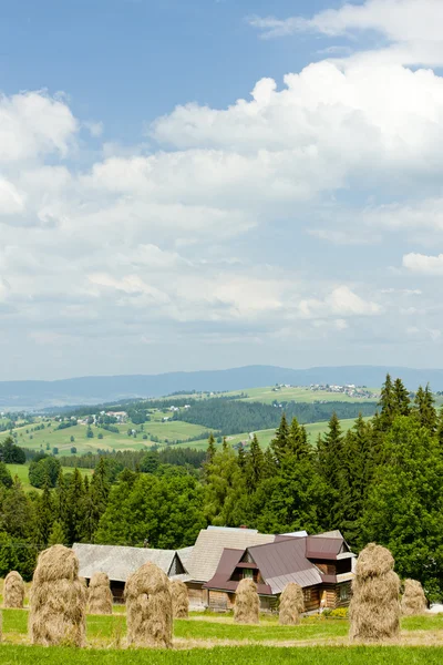 上塔特拉山附近扎科帕内，波兰的景观 — 图库照片