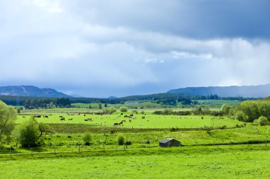 strathspey Vadisi