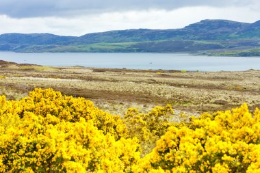 Loch eriboll, yaylaları, İskoçya