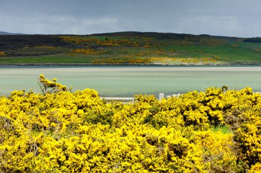 Loch eriboll, yaylaları, İskoçya