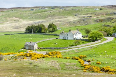 Landscape at Armadale Bay, Highlands, Scotland clipart