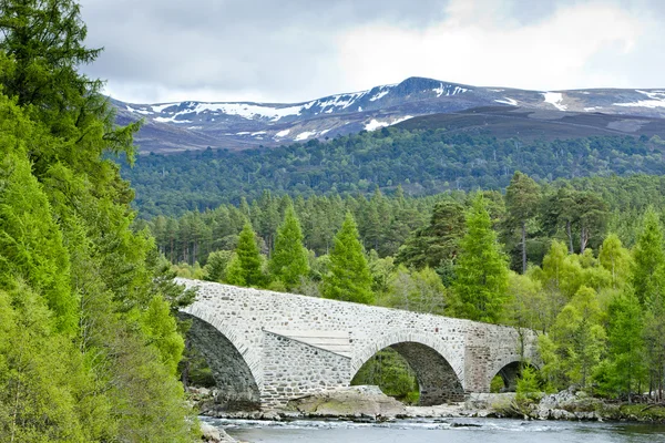 Invercauld Brug Highlands Schotland — Stockfoto
