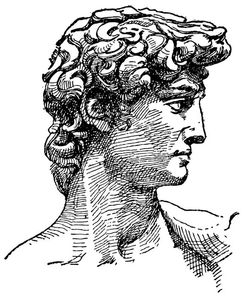  Давид Микеланджело
