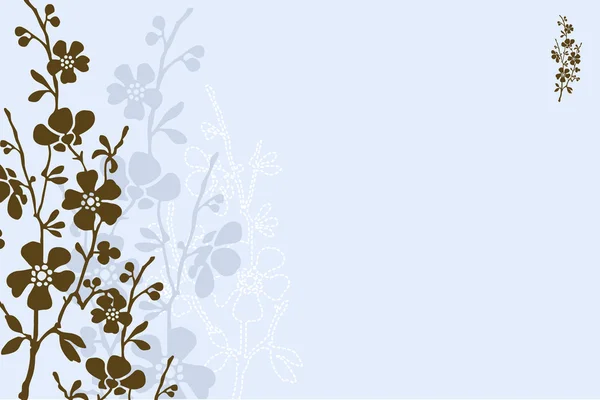 Blue Daisy Background — Stock Photo, Image