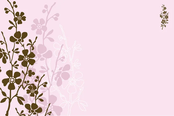 Pastell Daisy Hintergrund — Stockfoto