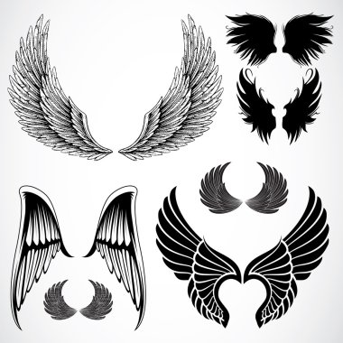 Set of detailed wing clipart
