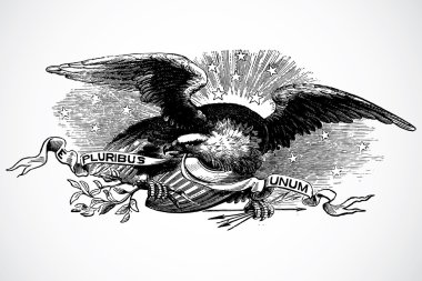 Detailed eagle illustration clipart