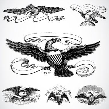  Eagle Set clipart