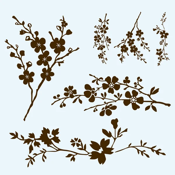 Floral Ornaments — 图库照片