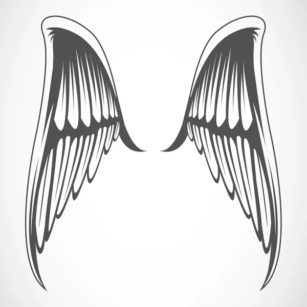 Wings — Stock Photo, Image
