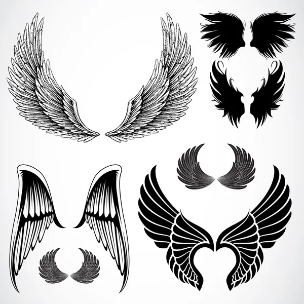 Set van gedetailleerde vleugel — Stockfoto