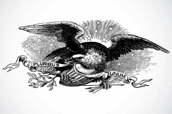 Detaljerade eagle illustration — Stockfoto