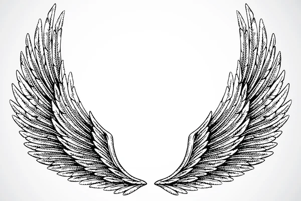 Flügel auf weißem Hintergrund — Stockfoto