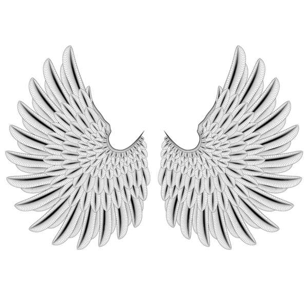 Набор крыла — стоковое фото