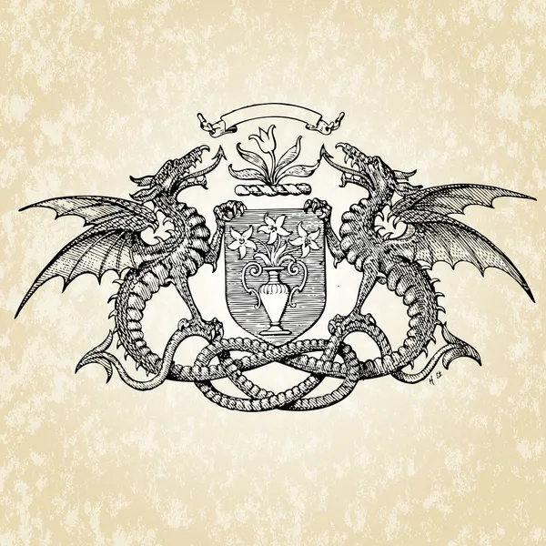 Dragón y Escudo Ilustración — Foto de Stock
