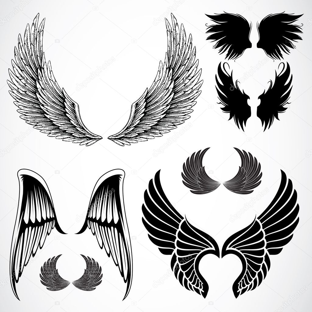 Set of detailed wing