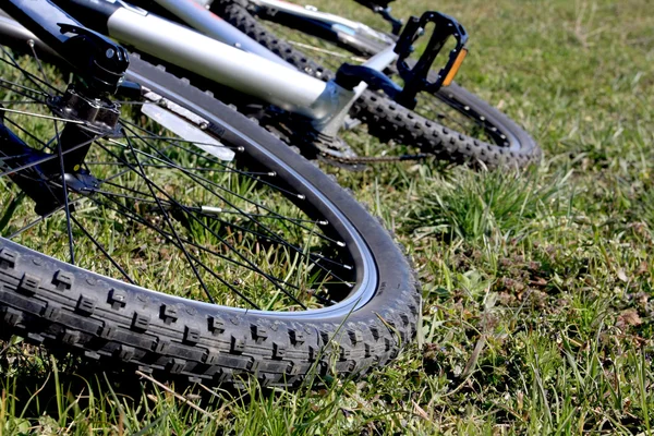 草地上的自行车 — 图库照片