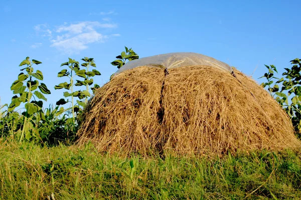 Сельская сцена с стогом сена — стоковое фото