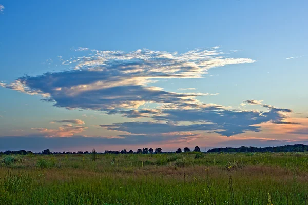Evening at steppe — Stock Photo, Image