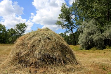 Haystack clipart